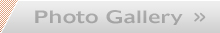 フォトギャラリー